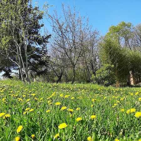 Chambre Soignee Et Accueillante A La Campagne - Ch. Jaune L'Honor-de-Cos Екстериор снимка