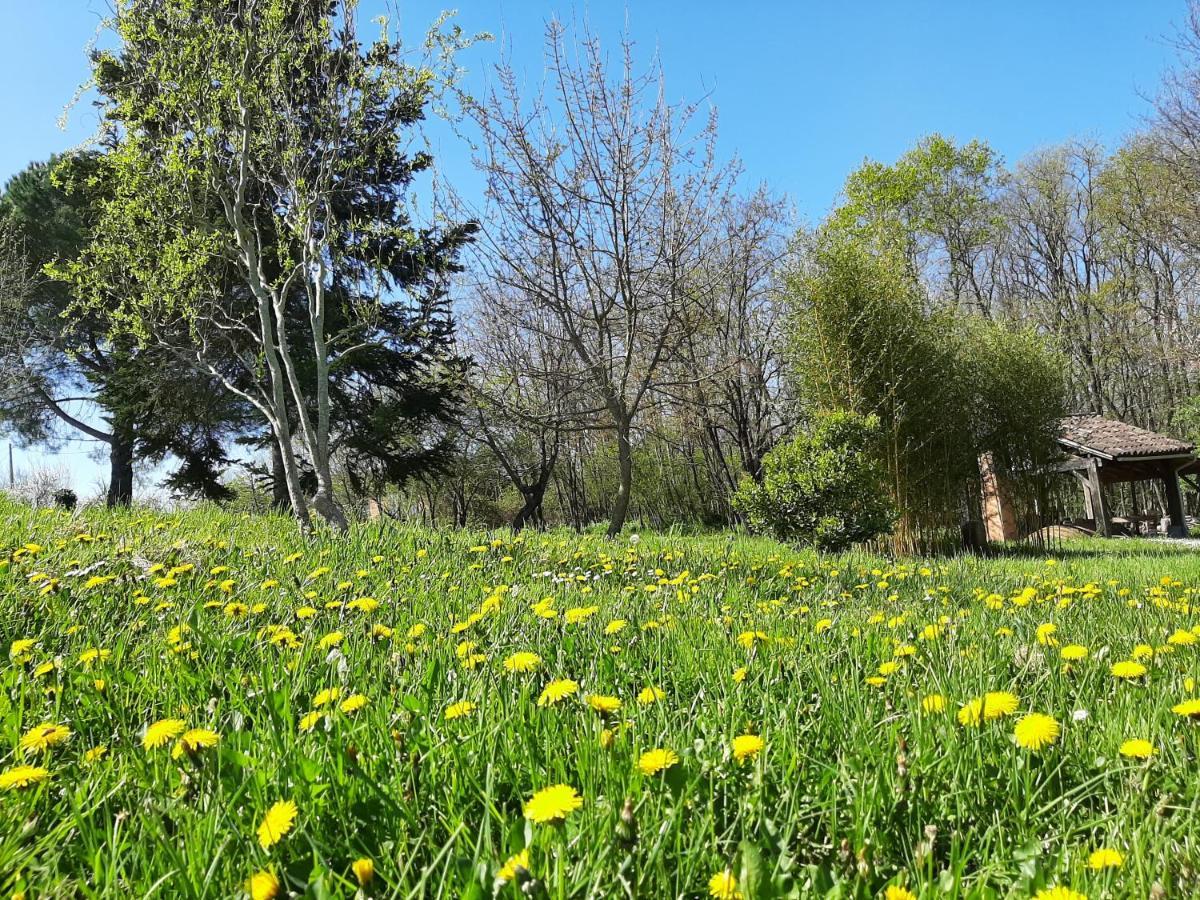 Chambre Soignee Et Accueillante A La Campagne - Ch. Jaune L'Honor-de-Cos Екстериор снимка
